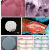 article_Bio_3